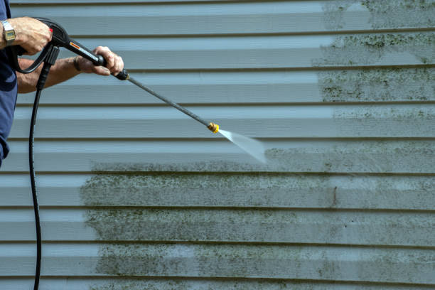 Best Driveway Pressure Washing  in Wilson, NC